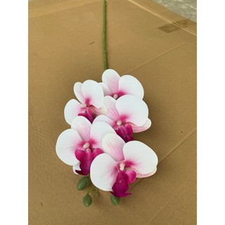 Lan Hồ Điệp Cao Su 5 Bông 💥HÀNG CAO CẤP💥 Lan Hồ Điệp 70cm Thân Thường, Nhiều Màu Phù Hợp Nhiều Phong Cách Nội Thất