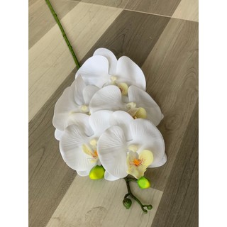 Lan Hồ ĐIệp Ướt 5 Bông 💥HÀNG CAO CẤP💥 Lan Thân Đốm Vải Lụa, Cành 70cm, Decor Nội Thất Cực Sang