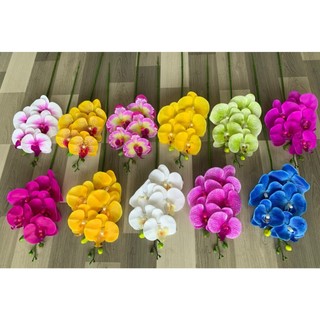 Lan Hồ ĐIệp Ướt 5 Bông 💥HÀNG CAO CẤP💥 Lan Thân Đốm Vải Lụa, Cành 70cm, Decor Nội Thất Cực Sang