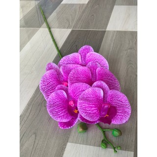 Lan Hồ ĐIệp Ướt 5 Bông 💥HÀNG CAO CẤP💥 Lan Thân Đốm Vải Lụa, Cành 70cm, Decor Nội Thất Cực Sang