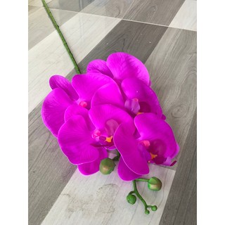 Lan Hồ ĐIệp Ướt 5 Bông 💥HÀNG CAO CẤP💥 Lan Thân Đốm Vải Lụa, Cành 70cm, Decor Nội Thất Cực Sang