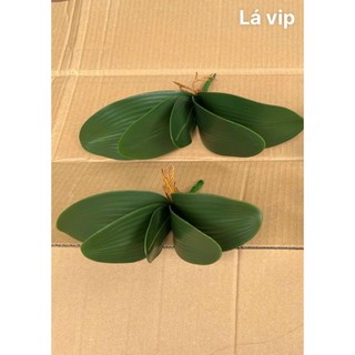 Lá Lan Hồ Điệp 💥HÀNG CAO CẤP💥 Lá Lan Cao Su Trang Trí Nhà Cửa Bền Đẹp, Loại 21cm, 19cm, 16cm