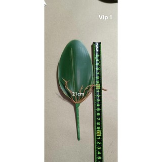Lá Lan Hồ Điệp 💥HÀNG CAO CẤP💥 Lá Lan Cao Su Trang Trí Nhà Cửa Bền Đẹp, Loại 21cm, 19cm, 16cm