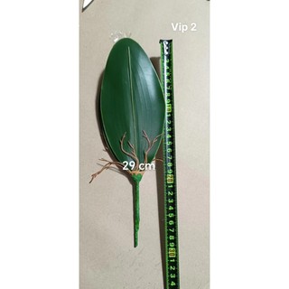 Lá Lan Hồ Điệp 💥HÀNG CAO CẤP💥 Lá Lan Cao Su Trang Trí Nhà Cửa Bền Đẹp, Loại 21cm, 19cm, 16cm