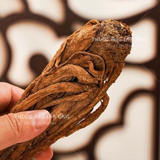 Đương quy củ 200g, sâm đương quy, củ to, khô, thơm - Lãn Ông