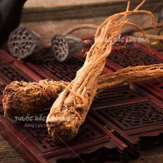Đương quy củ 200g, sâm đương quy, củ to, khô, thơm - Lãn Ông