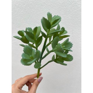 Cây Sen Đá Cao Su 💥HÀNG CAO CẤP💥 Các Loại Hoa Sen Đá, Sen Đá Sương Rồng Mini Trang Trí Nhà Cửa