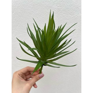 Cây Sen Đá Cao Su 💥HÀNG CAO CẤP💥 Các Loại Hoa Sen Đá, Sen Đá Sương Rồng Mini Trang Trí Nhà Cửa
