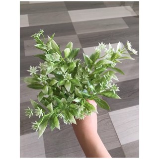 combo 2  Cụm Cỏ Điểm Các Loại 💥HÀNG CAO CẤP💥 Cỏ Trang Trí Lọ Hoa, Giỏ Quà Tặng, Hoa Quả Nhiều Mẫu Siêu Xinh