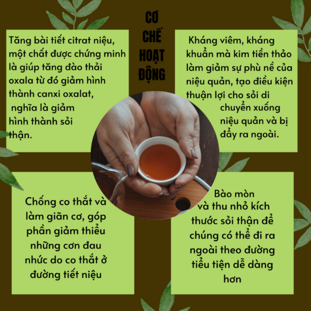 Trà Tán Sỏi Bội Lan Đường - Giúp Đào Thải Cặn Sỏi, Tan Sỏi Thận, Sỏi Tiết Niệu, Hạn Chế Nguy Cơ Tạo Sỏi