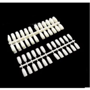 120 cái ( 5 thẻ ) Móng gắn sổ trưng bày