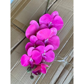 Lan Su 7 Bông Thân Thường 💥HÀNG CAO CẤP💥 Lan Hồ Điệp Trang Trí Phòng Khách, Bàn Làm Việc, Bàn Ăn Sang Trọng