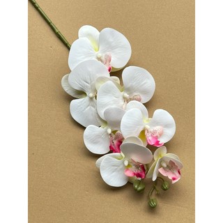 Lan Su 7 Bông Thân Thường 💥HÀNG CAO CẤP💥 Lan Hồ Điệp Trang Trí Phòng Khách, Bàn Làm Việc, Bàn Ăn Sang Trọng