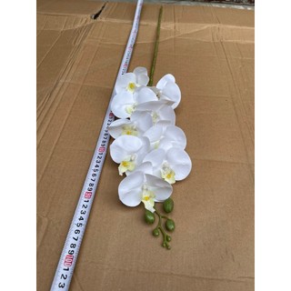 Lan Su 9 Bông Thân Thường 💥HÀNG CAO CẤP💥 Lan Hồ Điệp Trang Trí Phòng Khách, Bàn Làm Việc, Bàn Ăn Sang Trọng