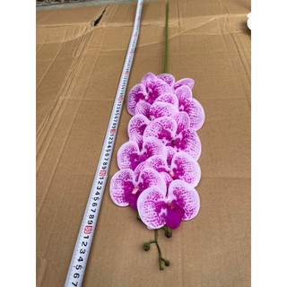 Lan Su 9 Bông Thân Thường 💥HÀNG CAO CẤP💥 Lan Hồ Điệp Trang Trí Phòng Khách, Bàn Làm Việc, Bàn Ăn Sang Trọng