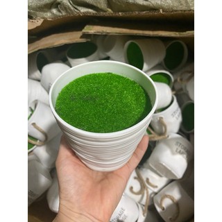 Chậu Nhựa Mini kèm xốp rêu 💥HÀNG CAO CẤP💥 Chậu Nhựa Cắm Hoa Để Bàn, Sân Vườn, Ban Công Decor Siêu Xinh