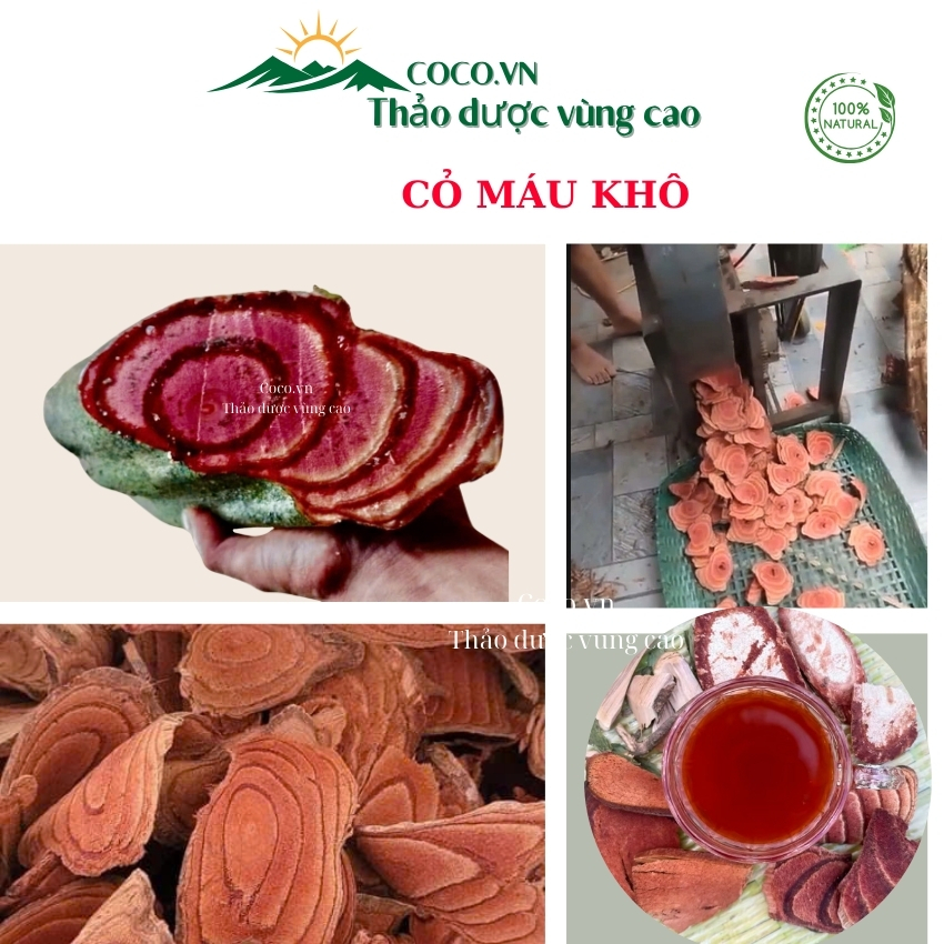 Cỏ Máu Tăng Cân, Cây Bổ Máu, Cỏ Máu Nguyên Chất …