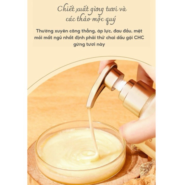 Dầu gội Gừng CHC Ginger mềm mượt sạch gàu thư giản da đầu 380ml