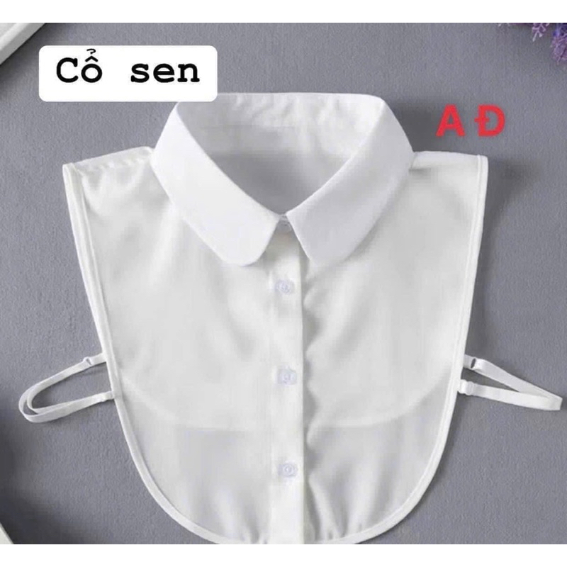 COMBO 2 Cổ áo sơ mi nữ có thể tháo rời chất đẹp dễ phối đồ siêu xinh kèm ảnh thật