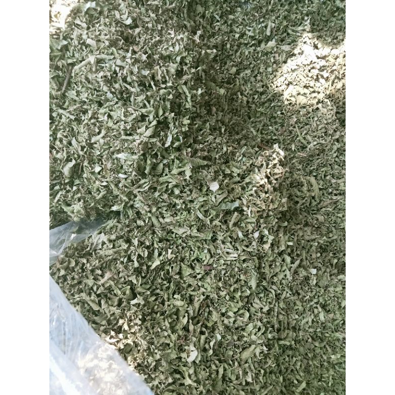trà ổi túi lọc 100 túi x  5g, nguyên chất
