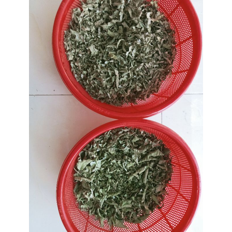 trà ổi túi lọc 100 túi x  5g, nguyên chất