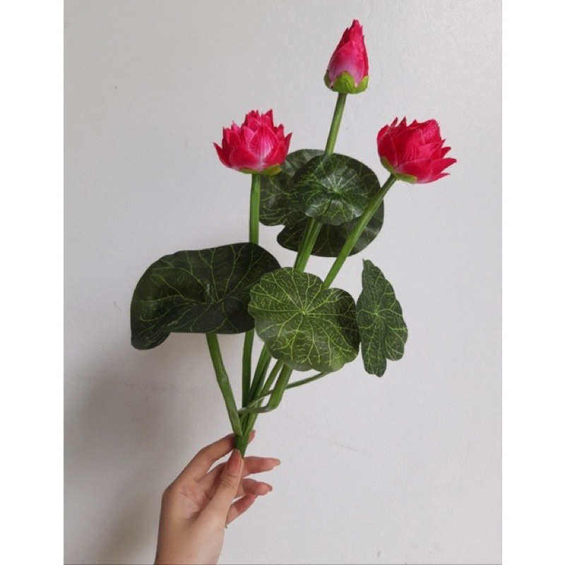 Cành sen nhỏ dài 45cm siêu sang đủ màu