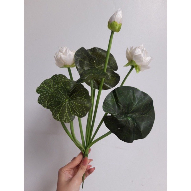 Cành sen nhỏ dài 45cm siêu sang đủ màu