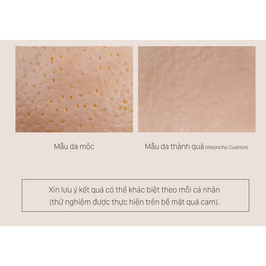 Cushion Kiềm Dầu Thuần Chay Dinto Blur-Finish Cushion SPF50+ PA++++ (Thông tin date sản phẩm ở phần mô tả)