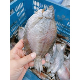 Khô cá sặc bổi loại 1kg, thơm ngon, xuất xứ cà mau mua làm quá biếu, đặc sản cà mau giá bình dân.
