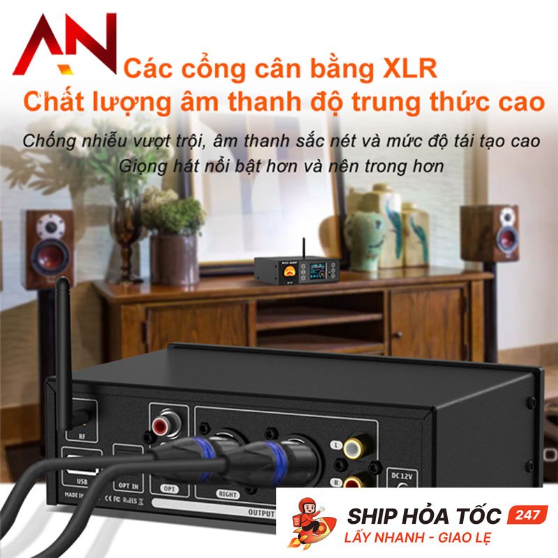 DAC SUCA AUDIO HP-02 | Bản nâng cấp đọc trực tiếp USB | BigBuy360 - bigbuy360.vn