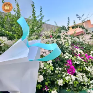 Túi ép quai, túi quai ép màu trắng quai xanh pastel đựng thời trang đủ size