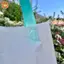 Túi ép quai, túi quai ép màu trắng quai xanh pastel đựng thời trang đủ size