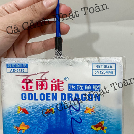Vợt Vớt Cá Cán Xanh Loại Tốt Lưới Sâu, Dày