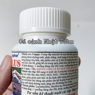 VI SINH KHỬ ĐỘC NƯỚC BIO PLUS NUPHAR