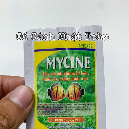MYCINE LỠ LOÉT THỐI VÂY MỤC ĐUÔI CHO CÁ CẢNH ARC 5G