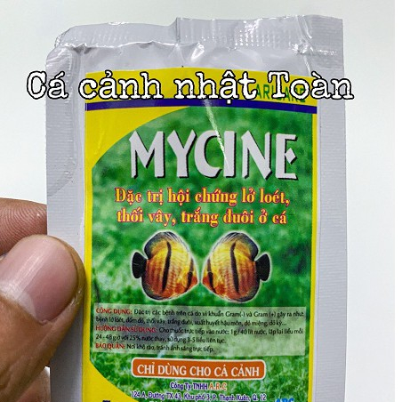 MYCINE LỠ LOÉT THỐI VÂY MỤC ĐUÔI CHO CÁ CẢNH ARC 5G