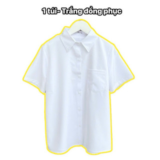 ( 4 mẫu ) Áo sơmi trắng đi học dáng vừa dễ mặc Yến Tee Shop #020