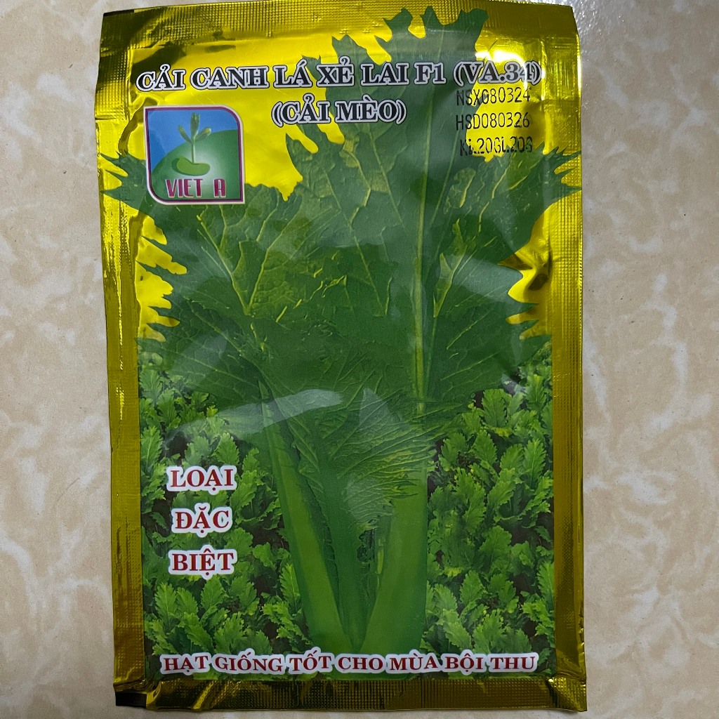 Hạt giống rau Cải mèo hà Giang, cải khổng lồ