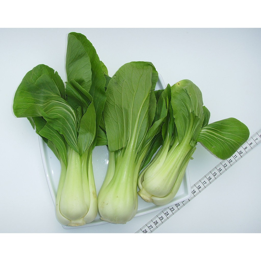 Hạt giống rau cải thìa (cải chíp- cải chít)