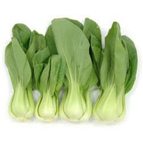 Hạt giống rau cải thìa (cải chíp- cải chít)