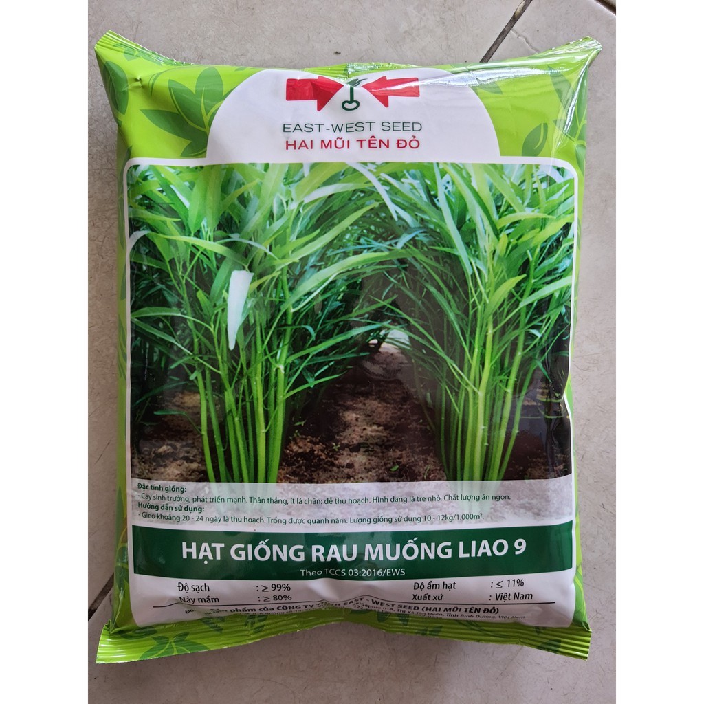 Hạt GiốngRau Muống Lá Tre , Hạt Giống Rau Muống Chọn Lọc cao cấp