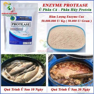 Men Ủ Cá Enzyme Protease, Phân Hủy Protein, Cá Phân Hủy Nhanh, Giảm Mùi Hôi, Hiệu Quả, Tiết Kiệm. Nhập Khẩu Pháp 100%