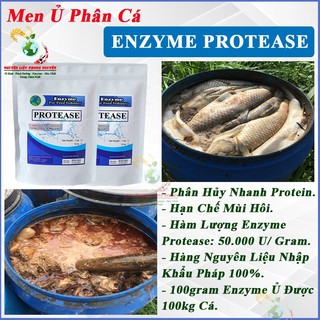 Men Ủ Cá Enzyme Protease, Phân Hủy Protein, Cá Phân Hủy Nhanh, Giảm Mùi Hôi, Hiệu Quả, Tiết Kiệm. Nhập Khẩu Pháp 100%