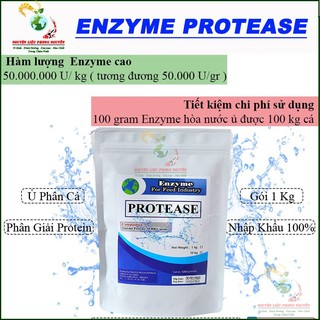 Men Ủ Cá Enzyme Protease, Phân Hủy Protein, Cá Phân Hủy Nhanh, Giảm Mùi Hôi, Hiệu Quả, Tiết Kiệm. Nhập Khẩu Pháp 100%