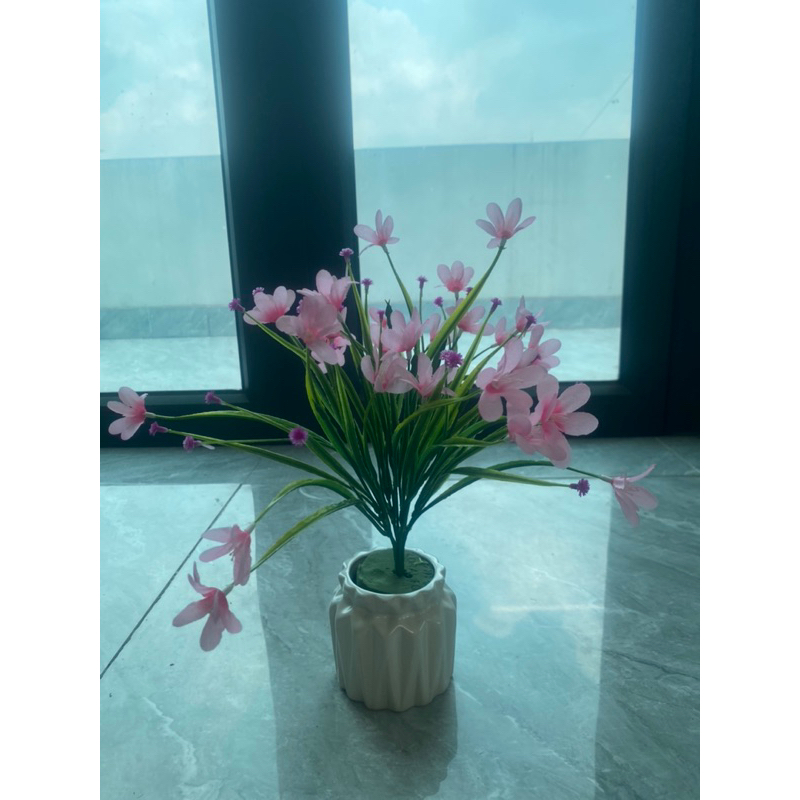 Cụm hoa thuỷ tiên nhiều màu cắm điểm cực sang