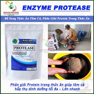 100gram Enzyme Protease, phân hủy protein dùng ủ phân cá, bổ sung thức ăn chăn nuôi, xử lý nước ao nuôi cá