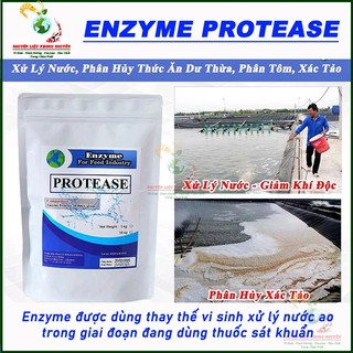 100gram Enzyme Protease, phân hủy protein dùng ủ phân cá, bổ sung thức ăn chăn nuôi, xử lý nước ao nuôi cá