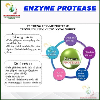 100gram Enzyme Protease, phân hủy protein dùng ủ phân cá, bổ sung thức ăn chăn nuôi, xử lý nước ao nuôi cá