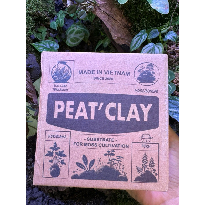 giá thể trồng rêu, đất ươm rêu, đất trồng rêu bonsai | Shopee Việt Nam