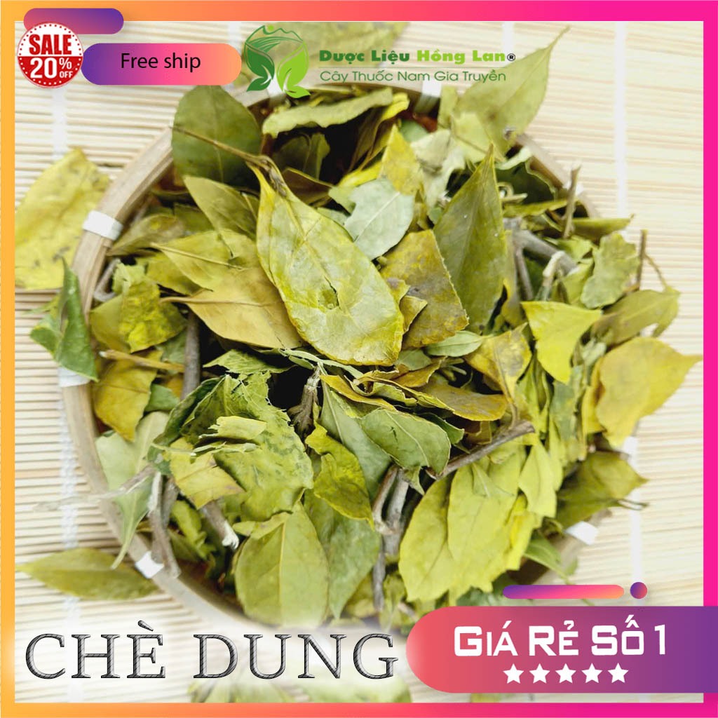 LÁ CHÈ DUNG khô sạch đóng gói 1kg - congtyduoclieuhonglan | Shopee Việt Nam